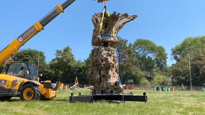 📽️Magical makings of The Wood stage @thegodminsteroak @landlogictimber @lilithpiperdrawings rebirth of this Ancient Oak Tree will come alive for Glastonbury festival 
@glastofest 

#glastonburyfestival #tolpuddle #woodsies #glade #sculpture #stage #