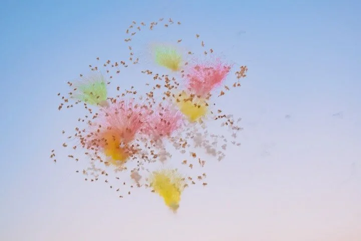 Thunder in the sky
Kaxxa spanjola 🩵

What&rsquo;s missing in our world isn&rsquo;t just justice&mdash;it&rsquo;s the recognition that healing is a collective
process, not an individual one&rdquo;
@gabormatemd 

Each of us can hold a light, what&rsqu