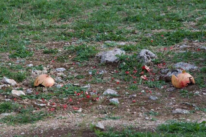 Pic 1. &lsquo;Fallen Pomegranate&rsquo; on the grounds of the monastery of Agios Ioannis in Rodaki, built on the site of a doric temple dedicated to the goddess Demeter. 
Pics 3&amp;4. From my Pomegranate series - The pomegranate symbol of fecundity 