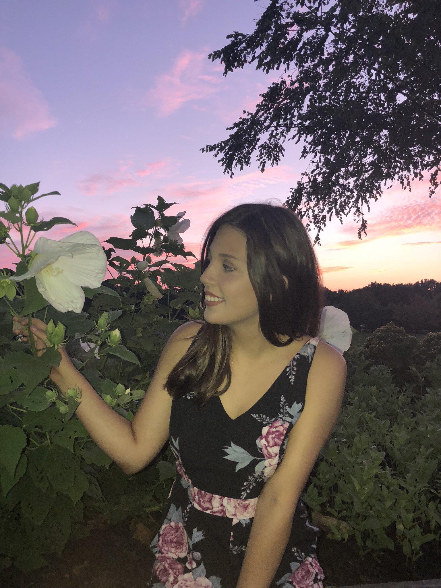 a evening flower.jpeg