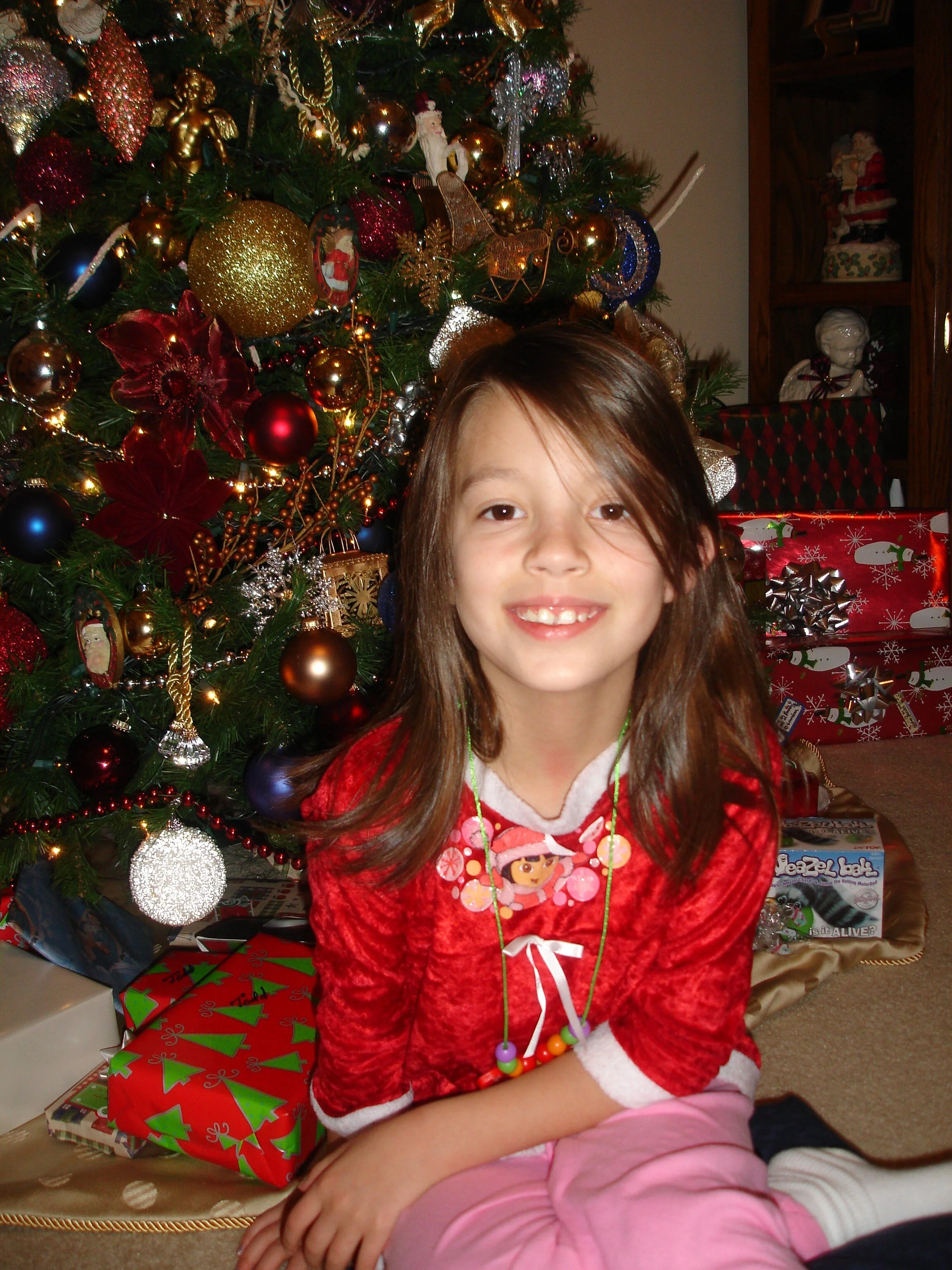 christmas09 029 (2).jpg