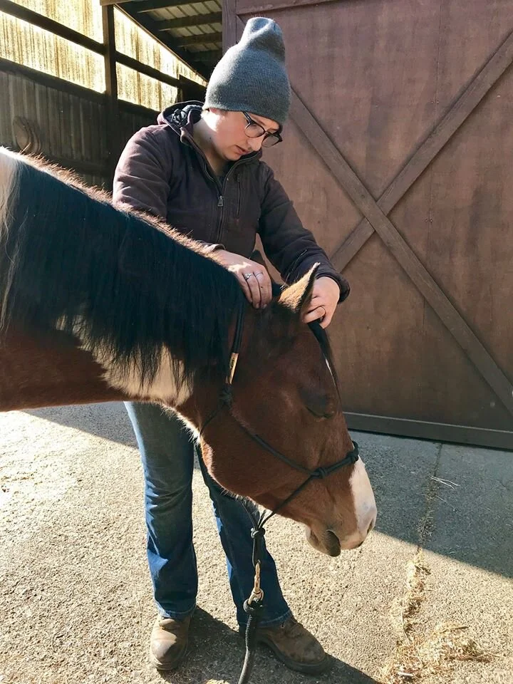 Equine Body Work — Balancing Point Equine Body Work