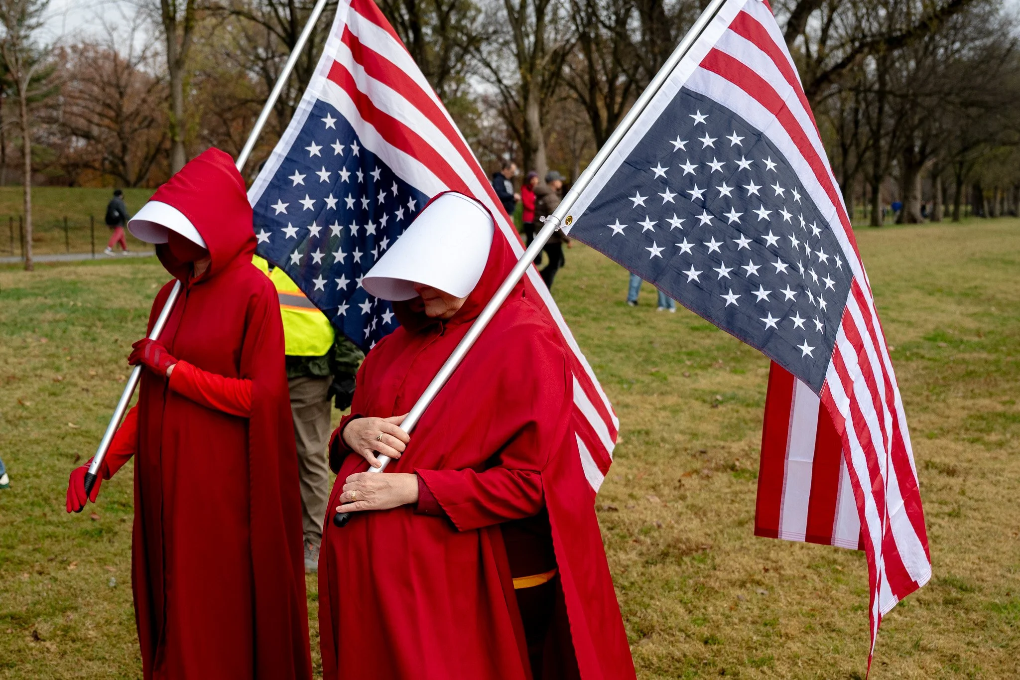 Protesting rape and pedophilia at "Impeach, Convict, Remove" happy at the Lincoln Memorial. 