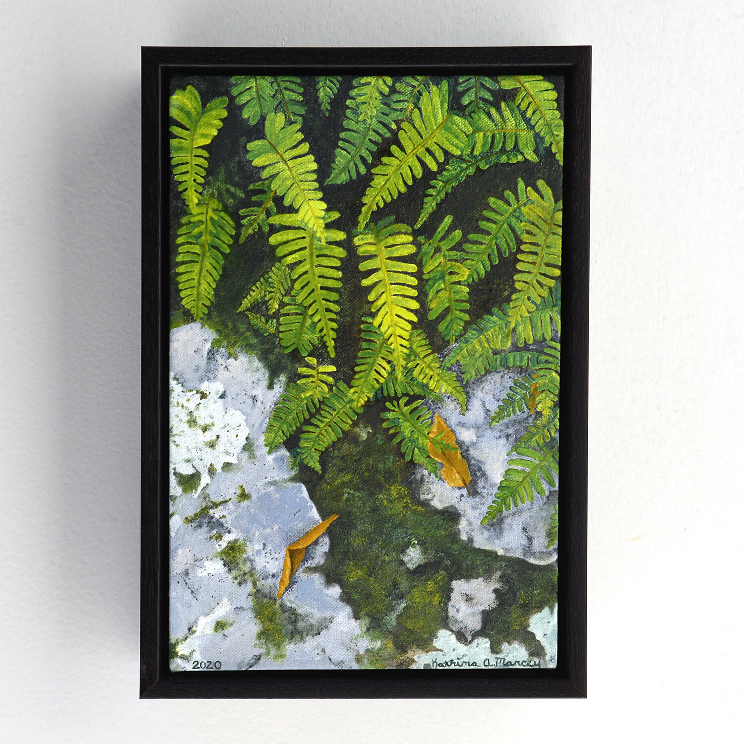 Cascading Ferns