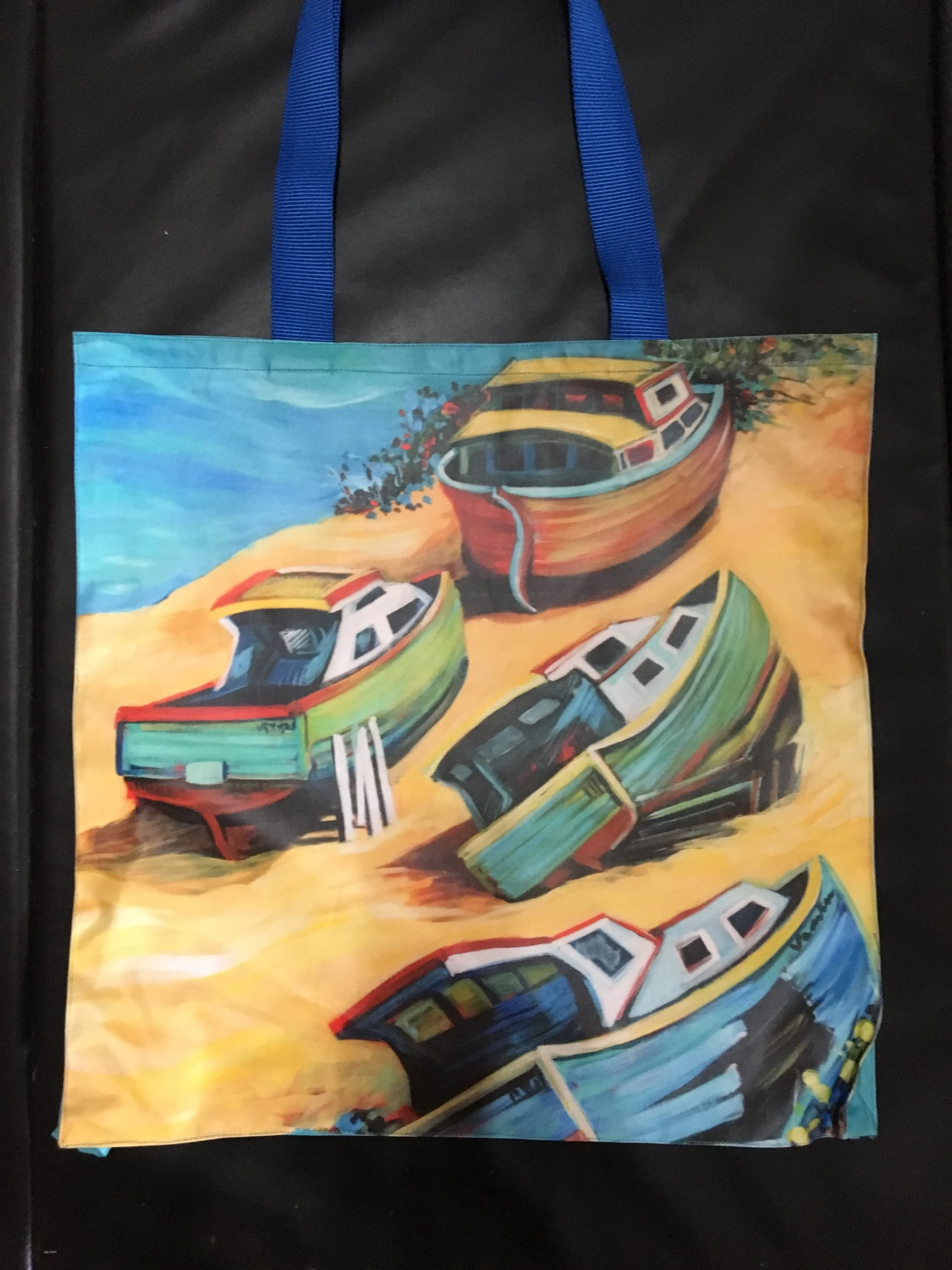 Beached Boats