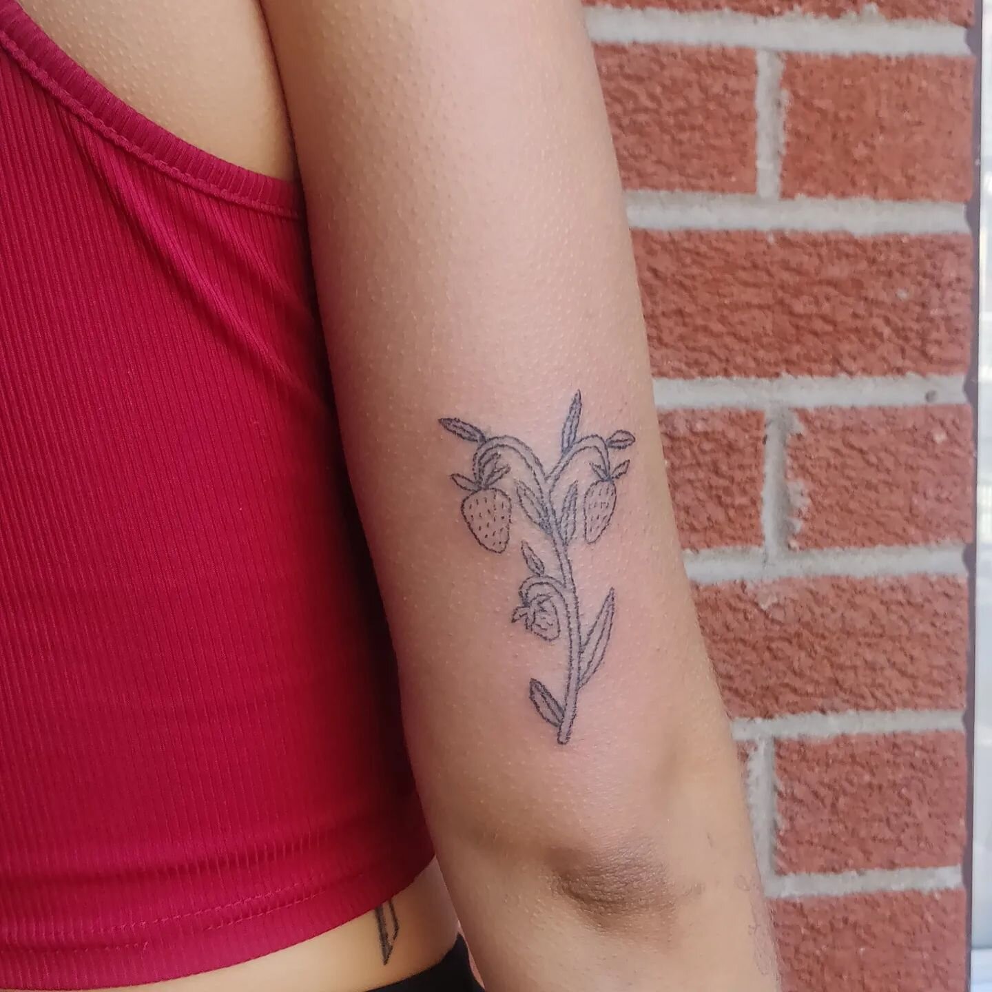 strawberry branch for @k.deleede 🍓🍓!
&bull;
&bull;
&bull;
#tattoo #tattoos #stickandpoke #stickandpoketattoo #handpoke #handpoketattoo #tattooartist #tattooed #ink #inked #montrealtattooartist #montrealtattooartist #montrealtattoo #babytattooer