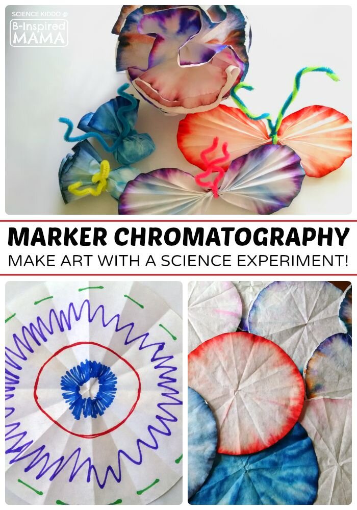 Marker-Chromatography-Science-Experiment-for-Kids-Combining-Art-and-Science-at-B-Inspired-Mama.jpg