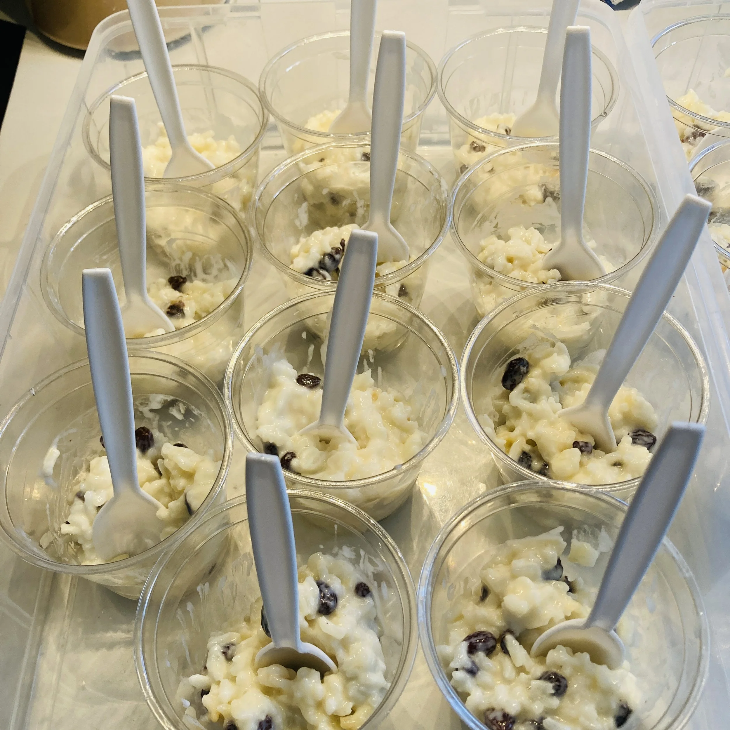 Photo Apr 04 2023, 10 32 36 AM.jpg