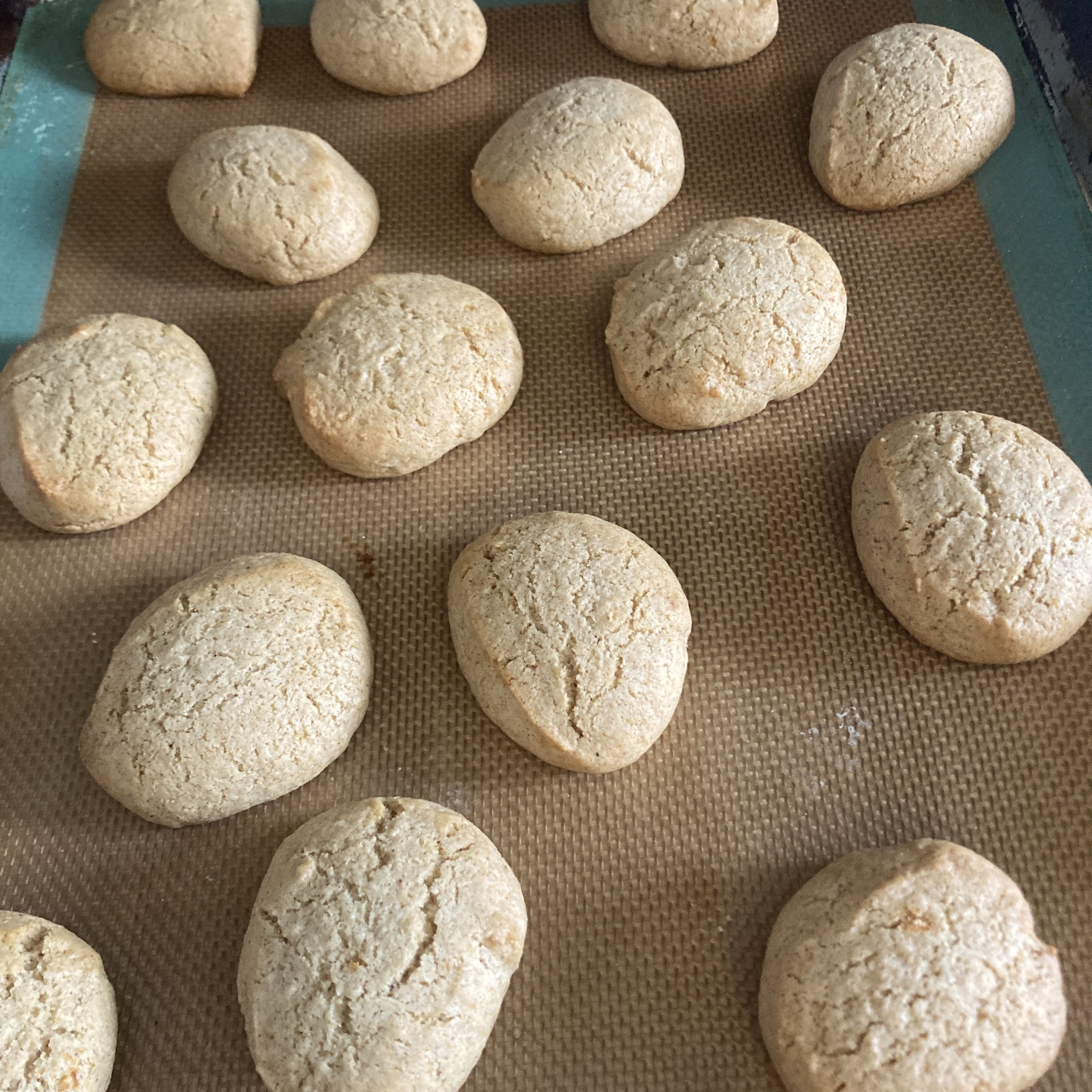 Week 1 Lebkuchen (1).jpg