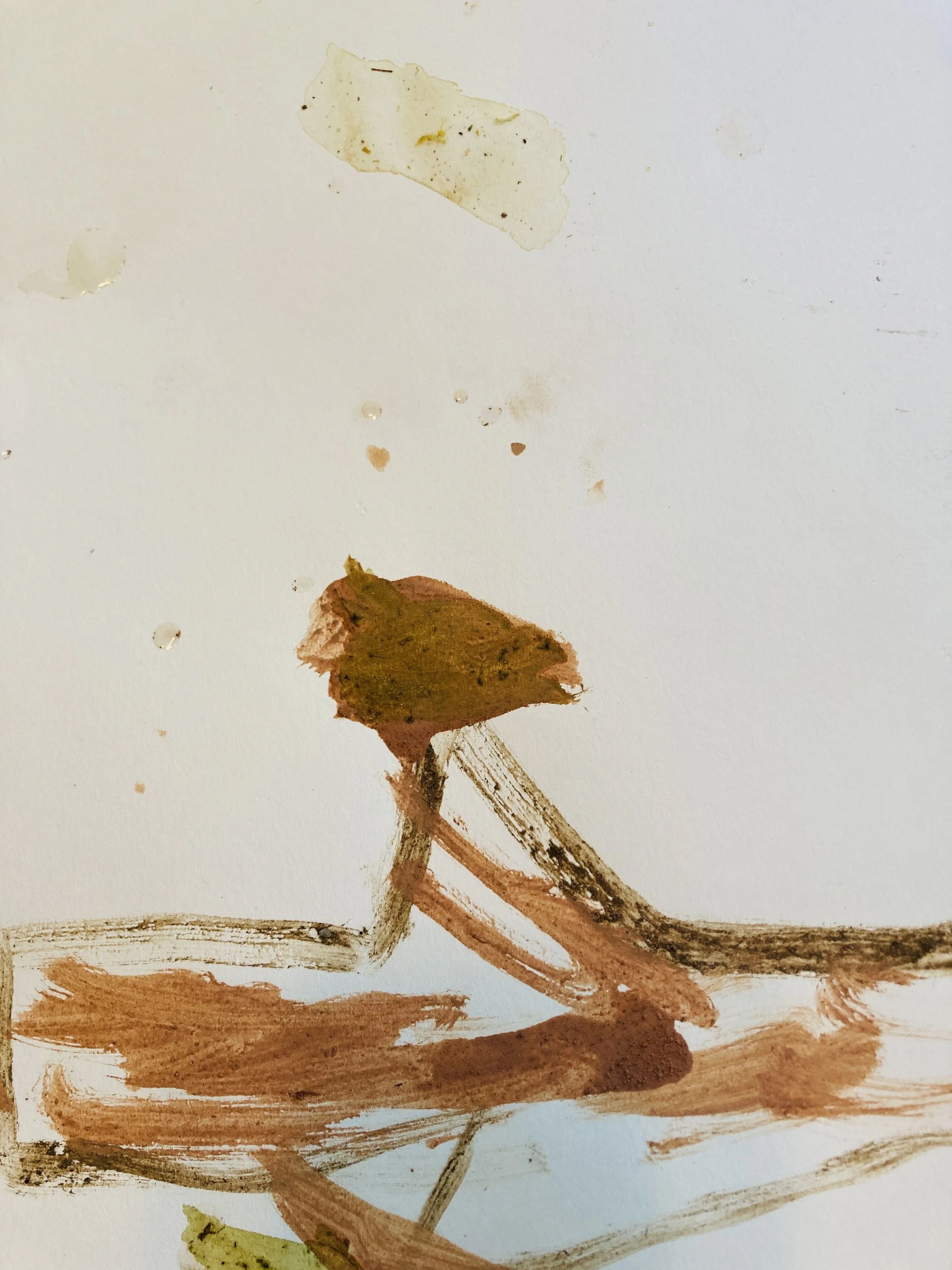 Photo Oct 24 2023, 12 35 32 PM.jpg