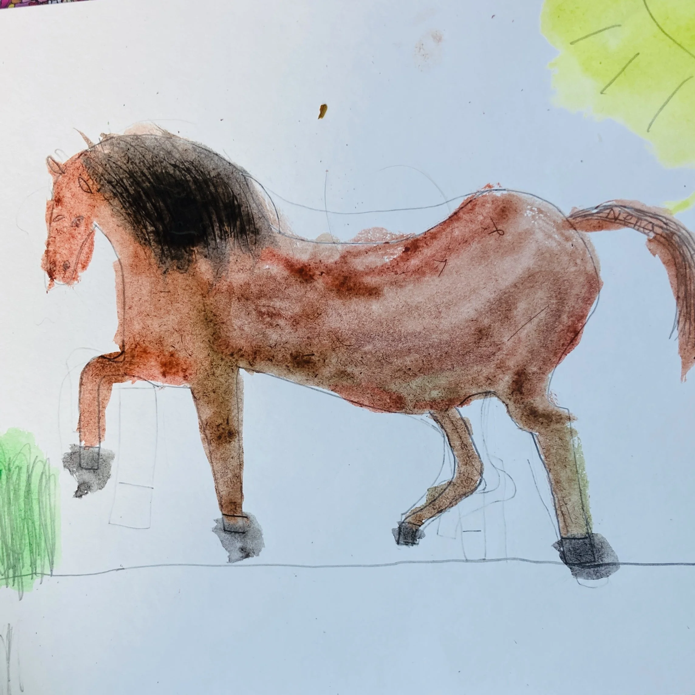 Photo Sep 13 2023, 11 34 19 AM.jpg