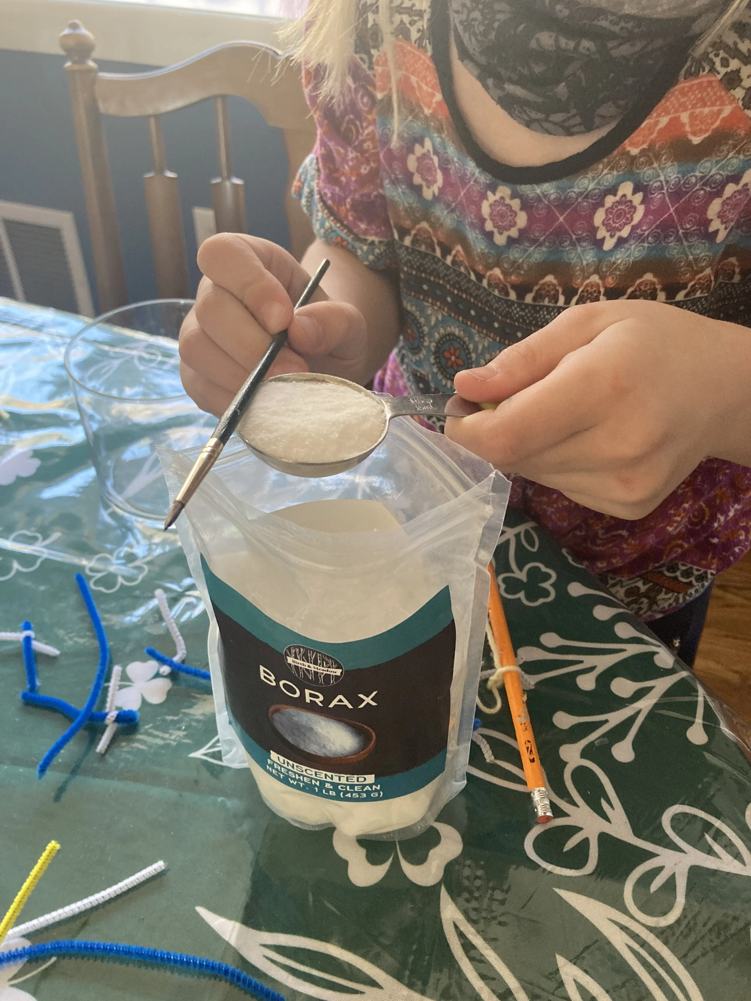 Science Week 13  (2).JPG