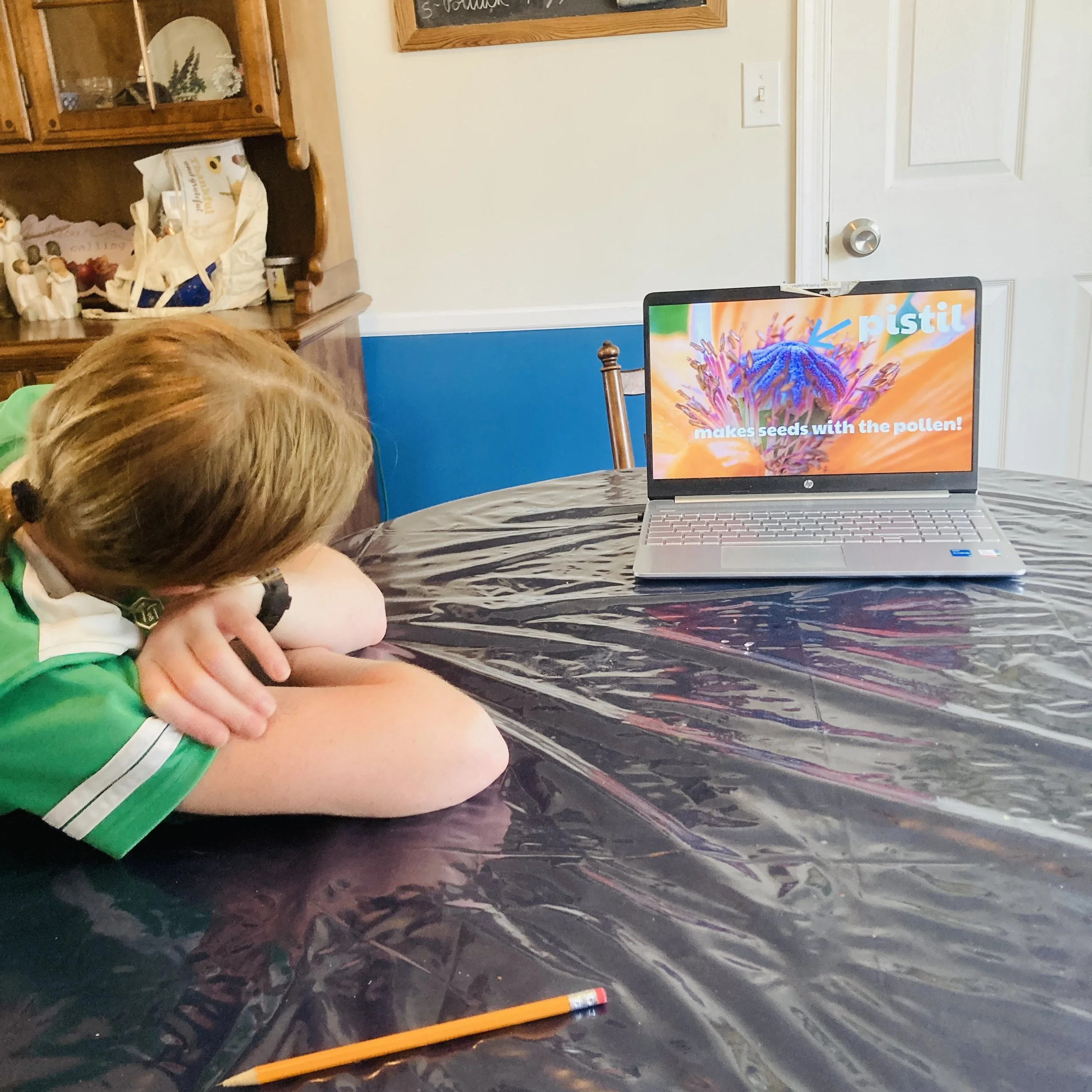 Tour 4 Week 5 Science (1).jpg