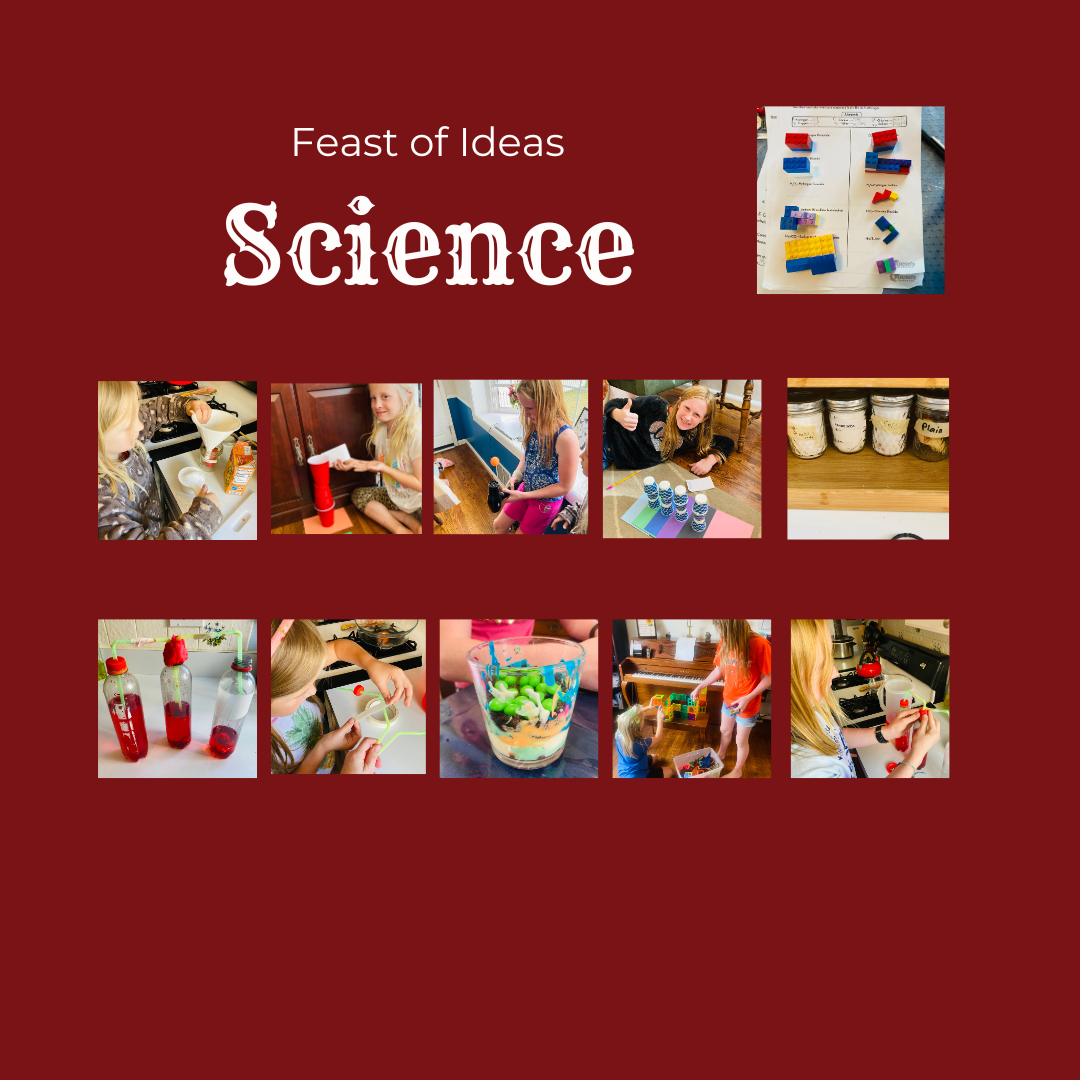 FOI 2026 Boards (10).png