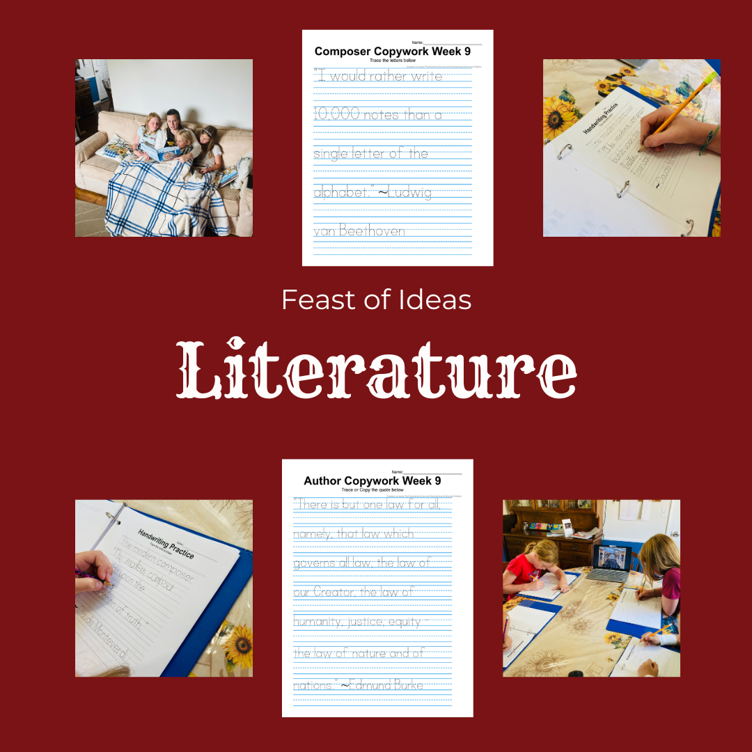 FOI 2026 Boards (12).png