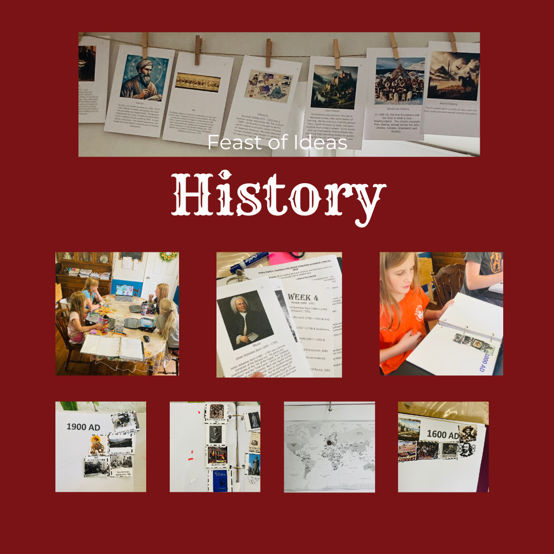 FOI 2026 Boards (13).png