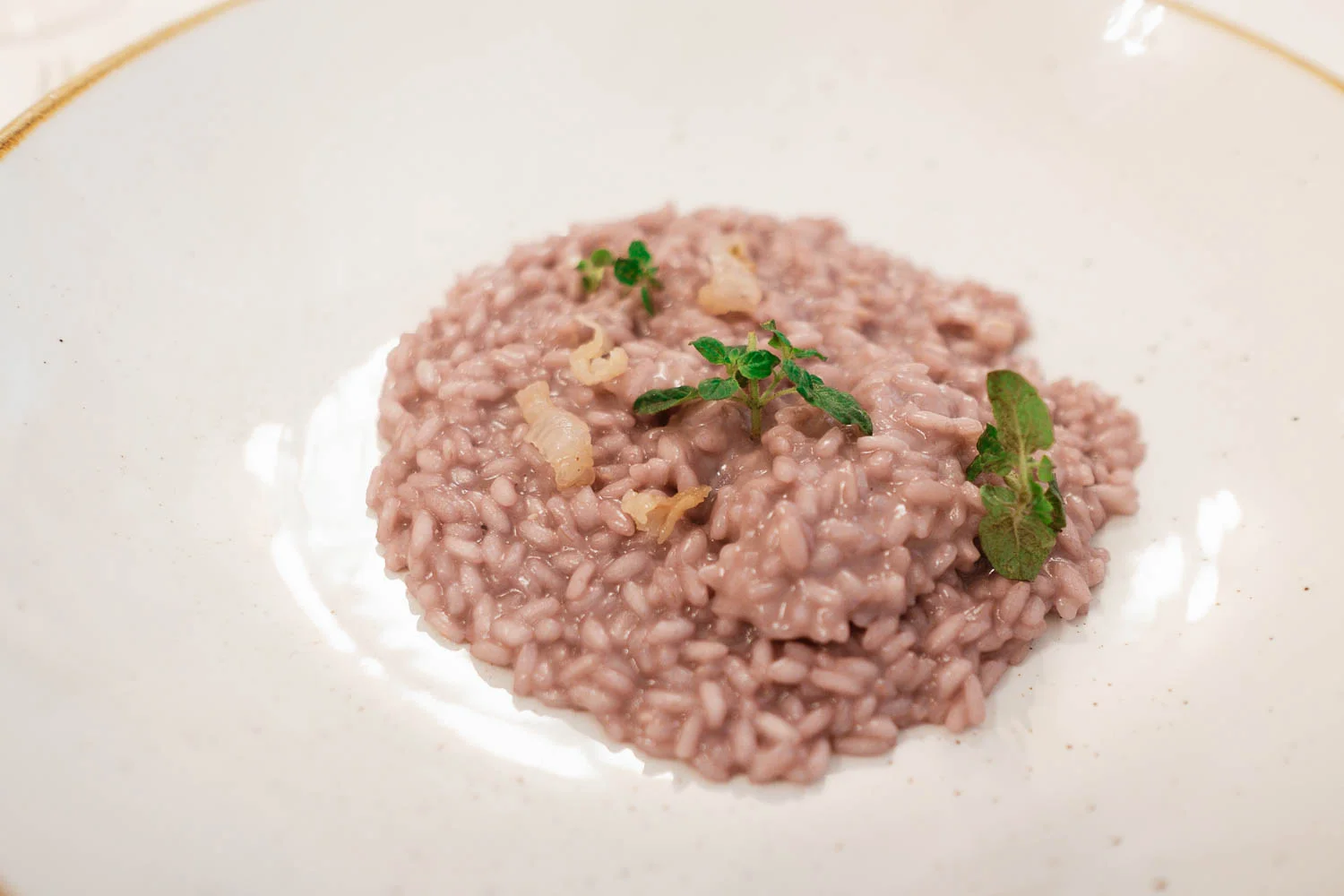Restaurants in Trento Ristorante Orso Grigio Trento .jpg