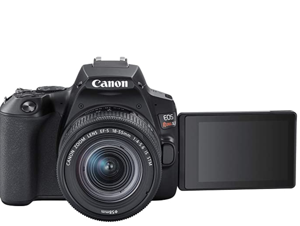 Best Camera For Beginners 2020 A Guide for New Photographers