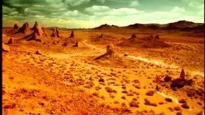 Boddington - Athlete