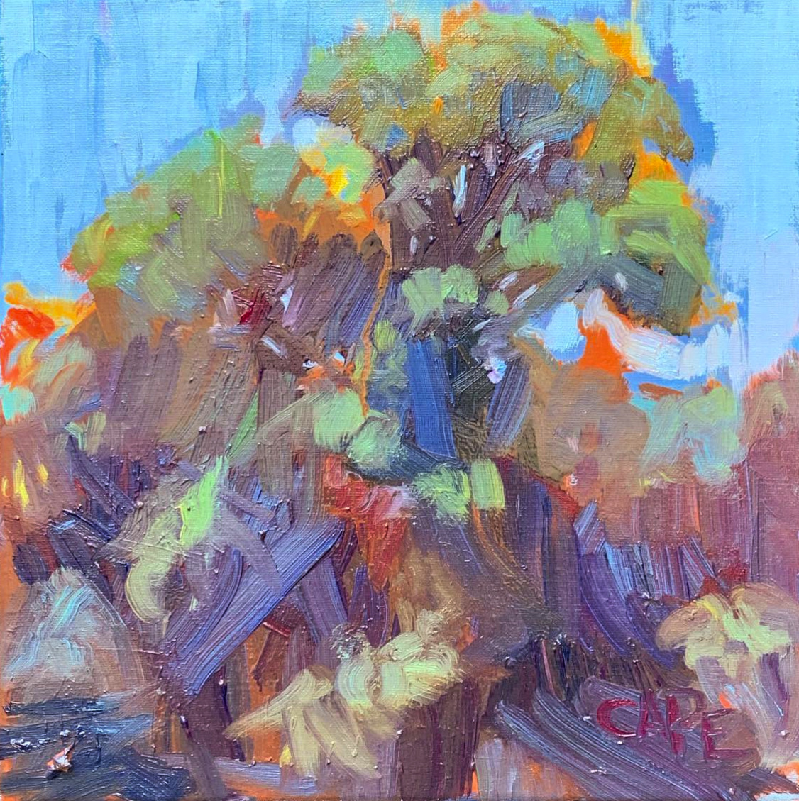 The Hidden Life of Trees: Photography in Painting