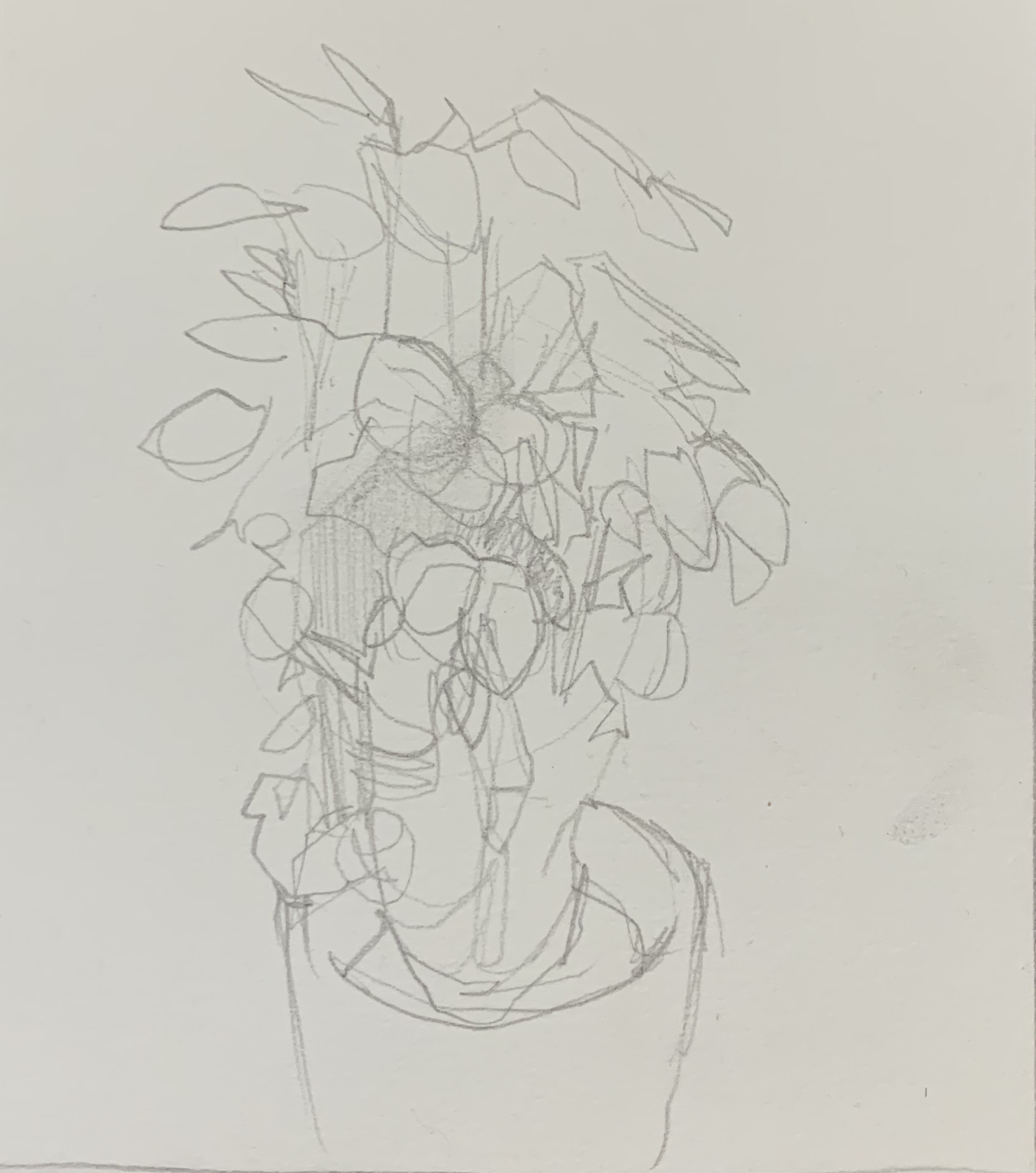 First impression on cold press paper. Using Faber Castell 8B jumbo pencil