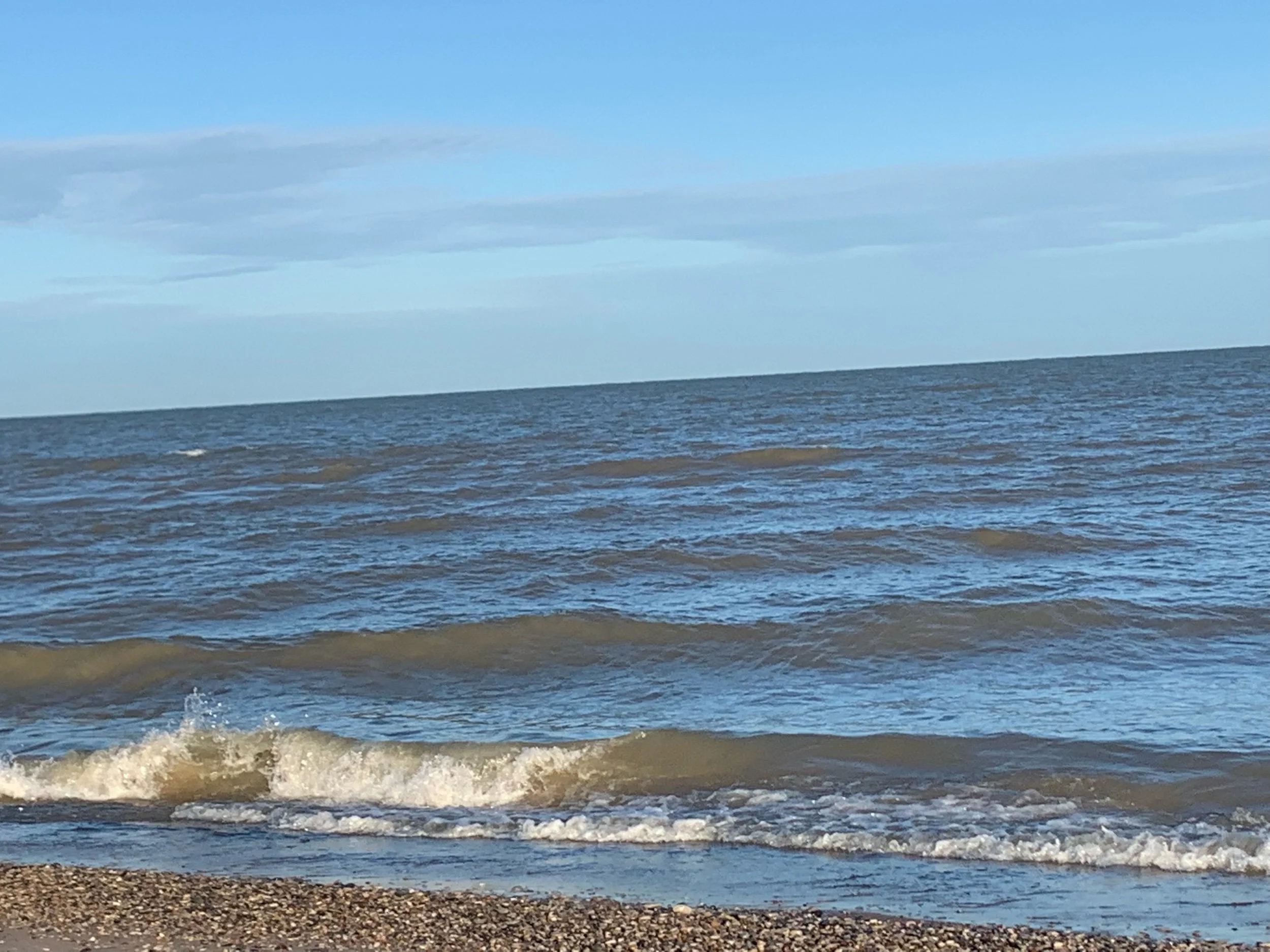 A Life of Adventure: The Pinery