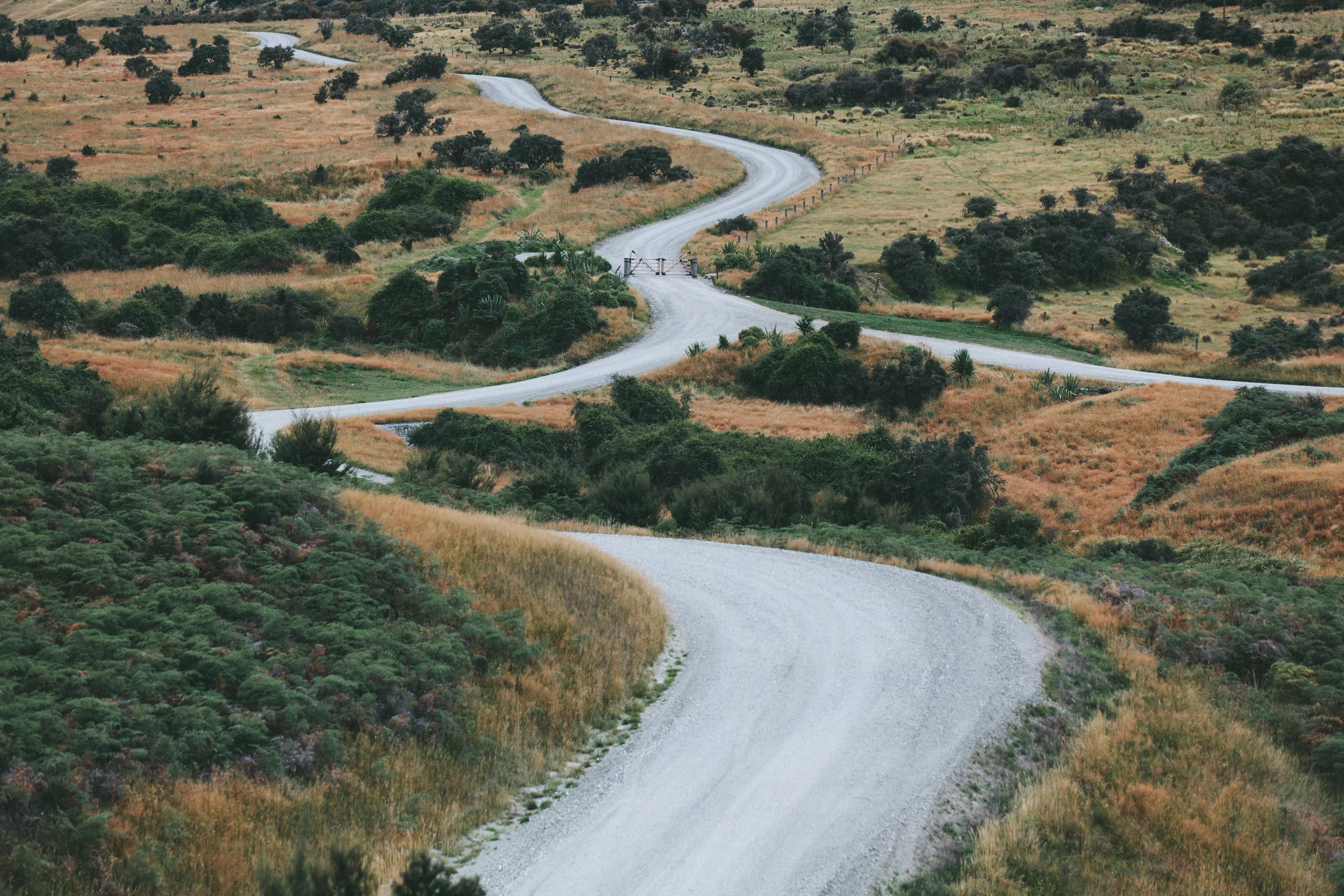 Why Deserts Matter Too