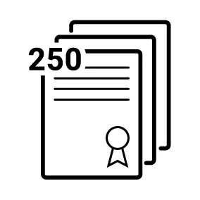 250 SHEET CAPACITY