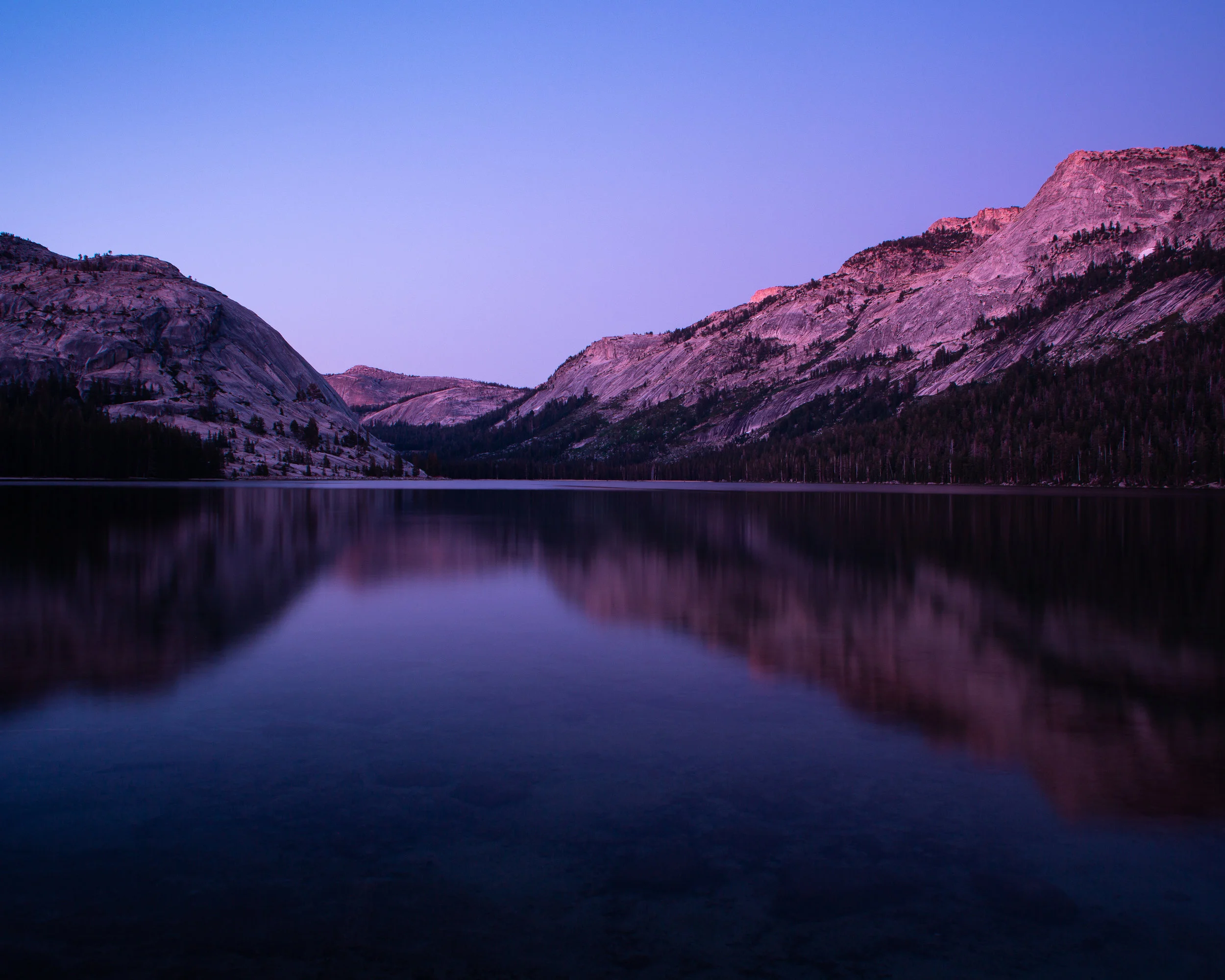 _MG_9353.jpg