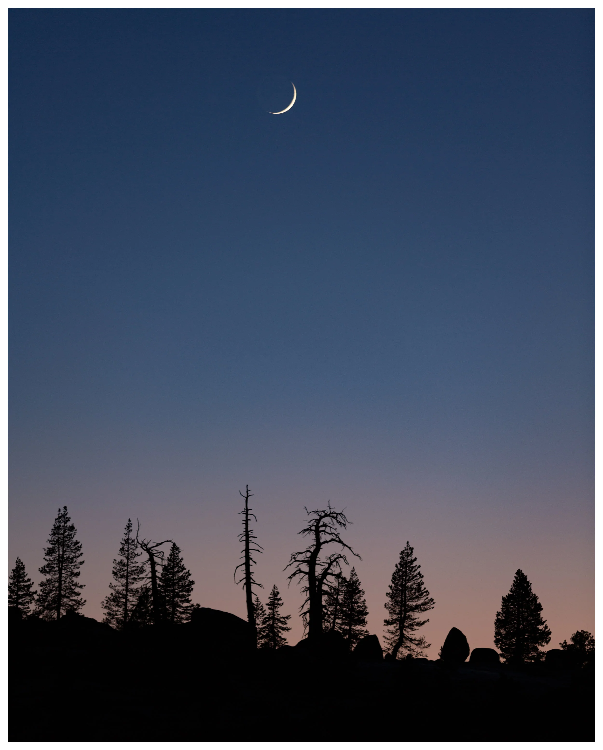 Moonset Over Treeline