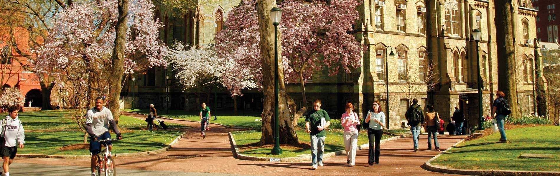 Penn campus.jpg