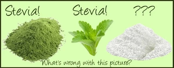 stevia.jpg