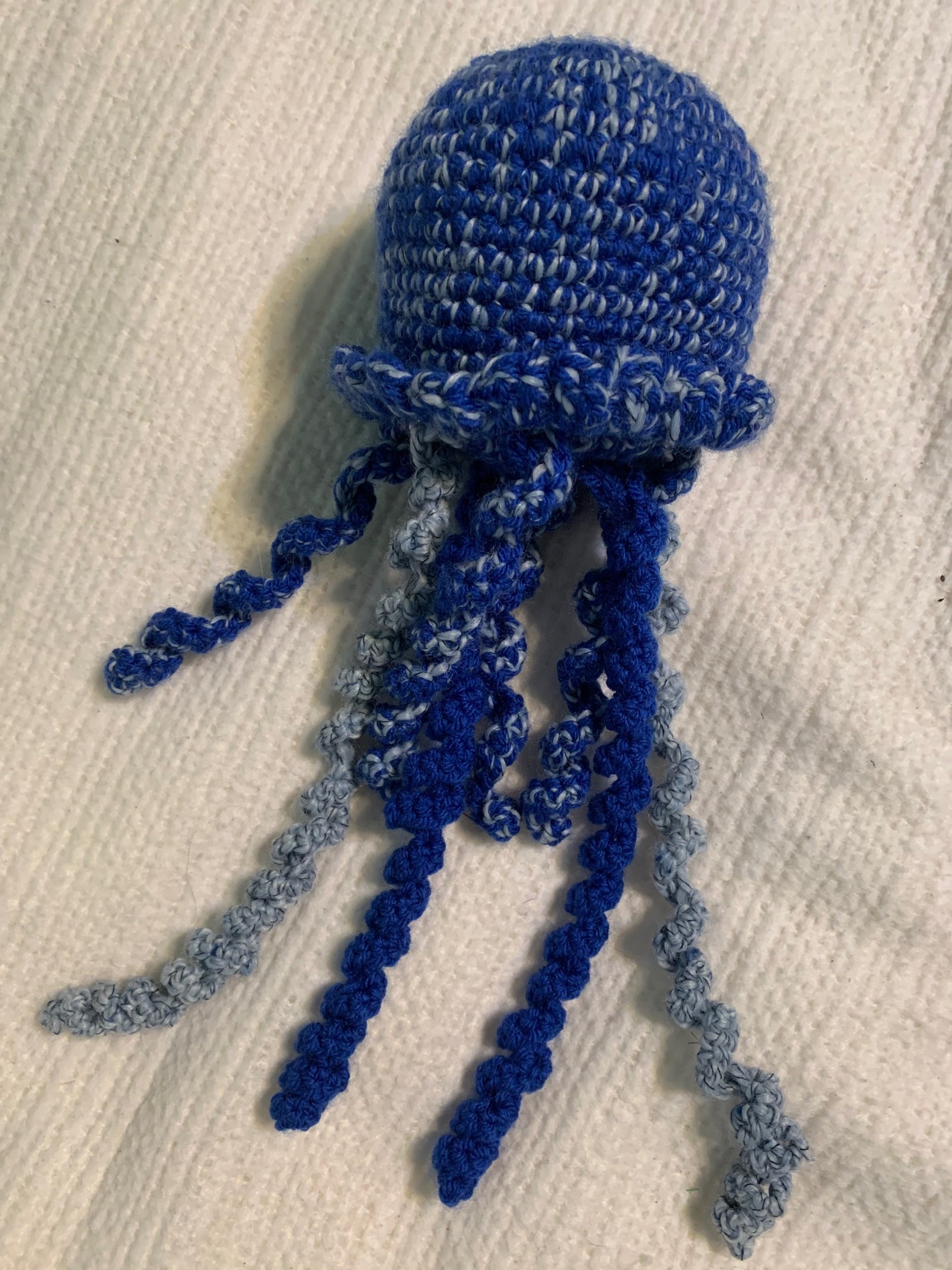 blue octopus.jpg