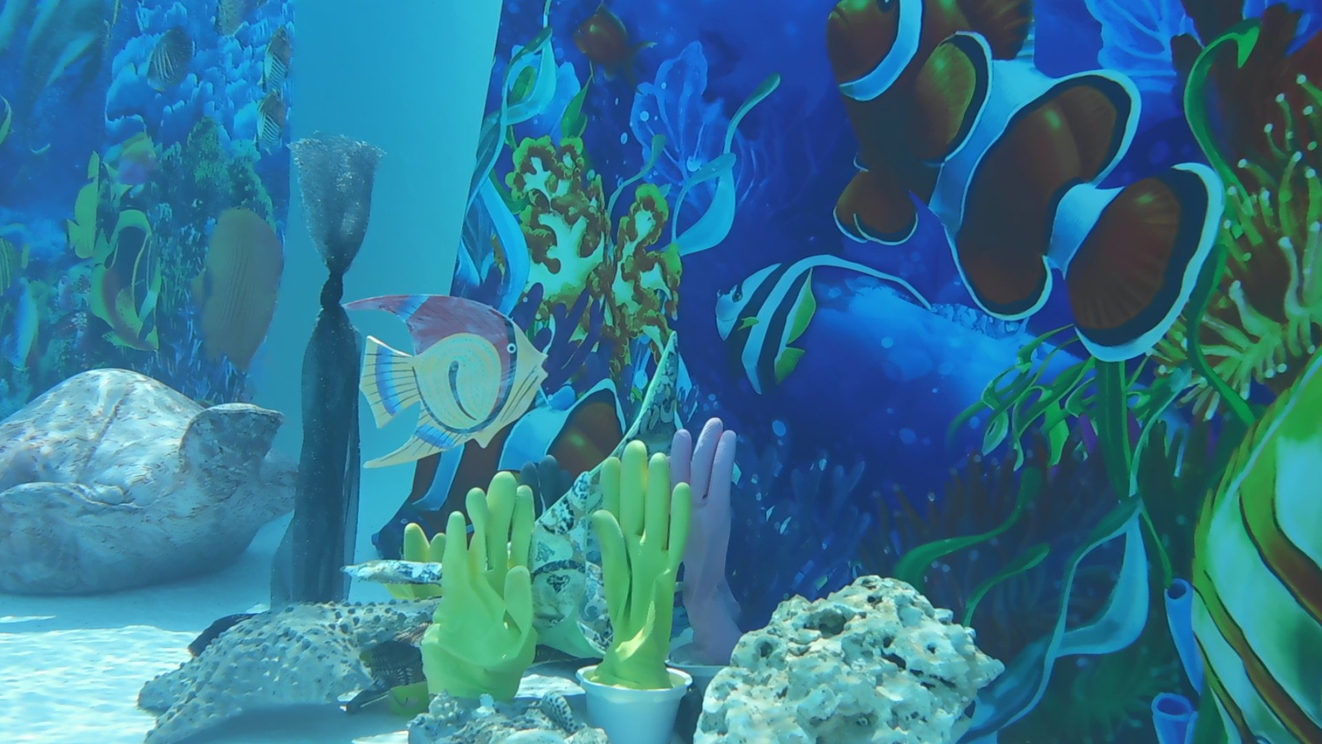 rubber glove coral with curtain - Copy.JPG