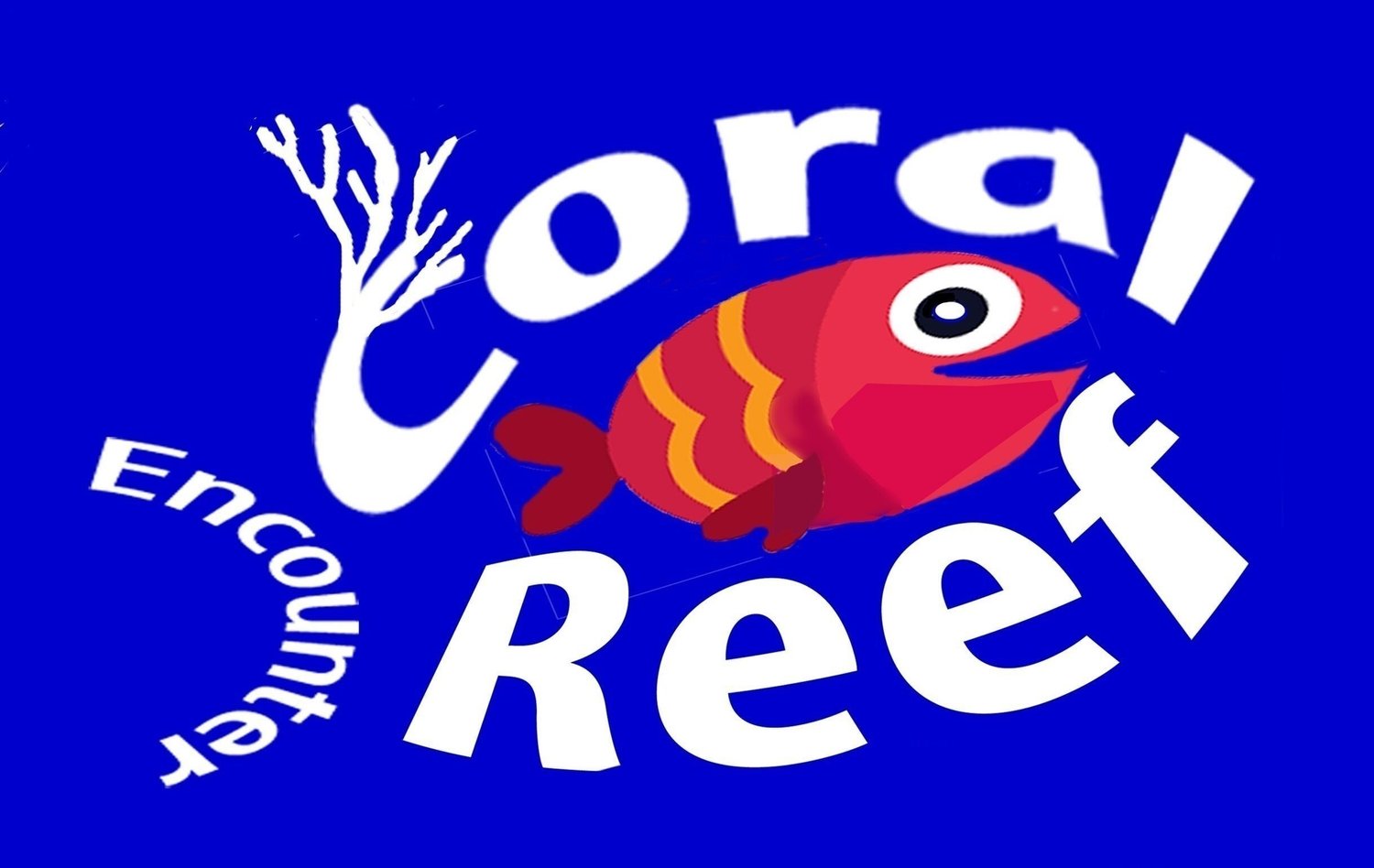 Coral Reef Encounter