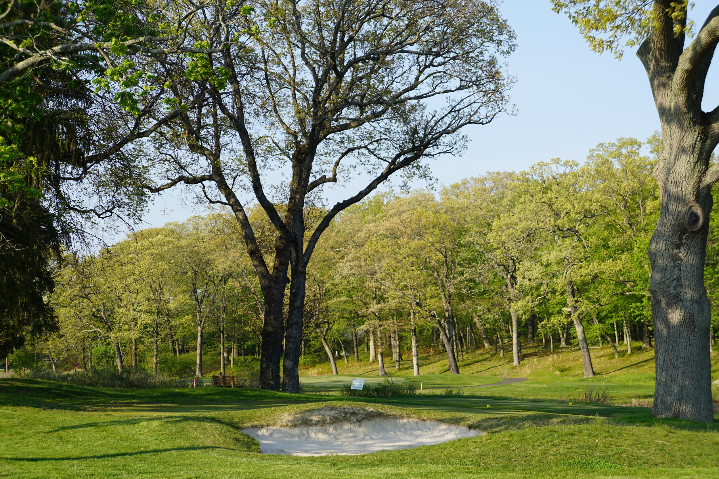 Longshore Club Park — 18 Hole Golf Course &amp; Driving Range