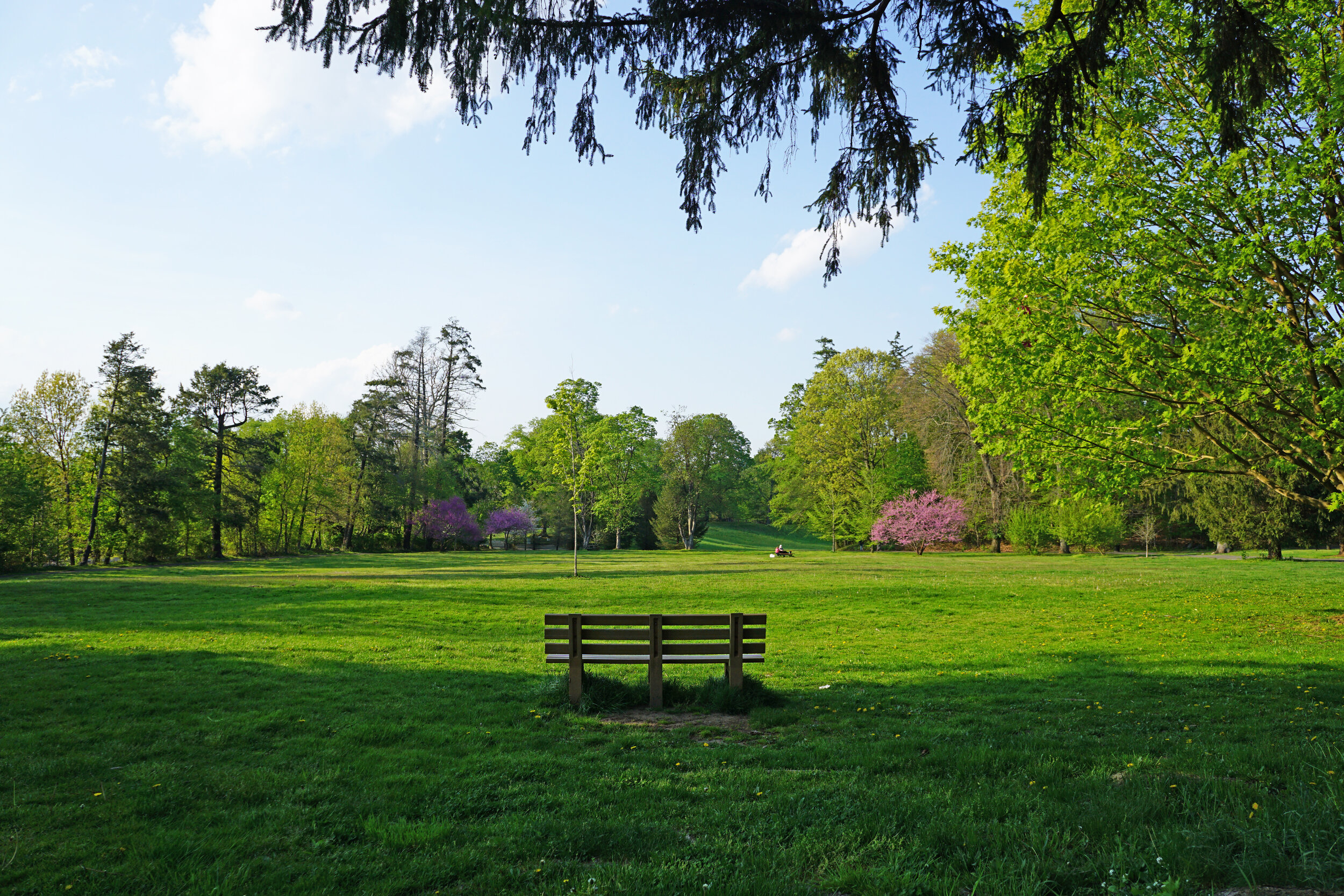 Winslow Park, Trails &amp; Off-leash Area for Dogs