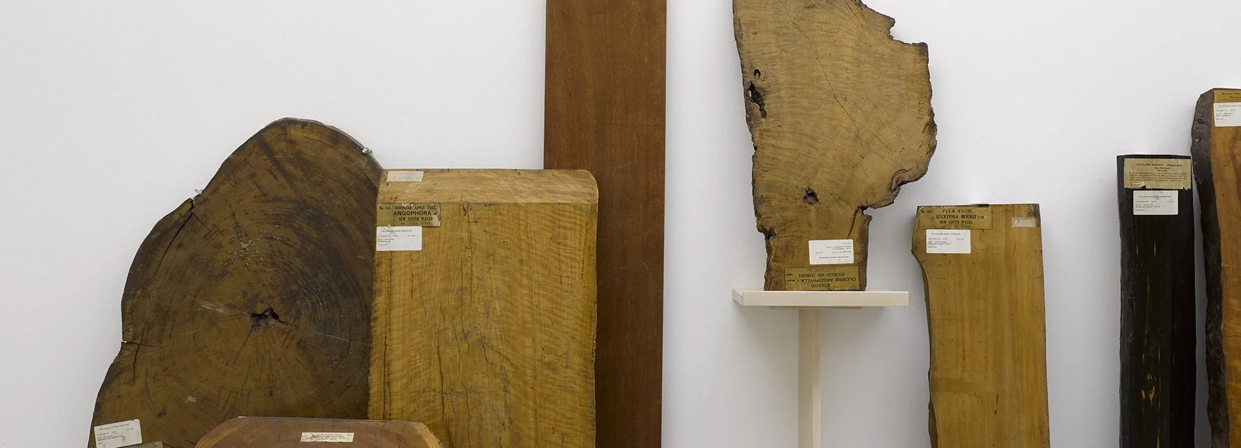 Formafantasma examina la evolución de la industria de la madera en Serpentine Gallery