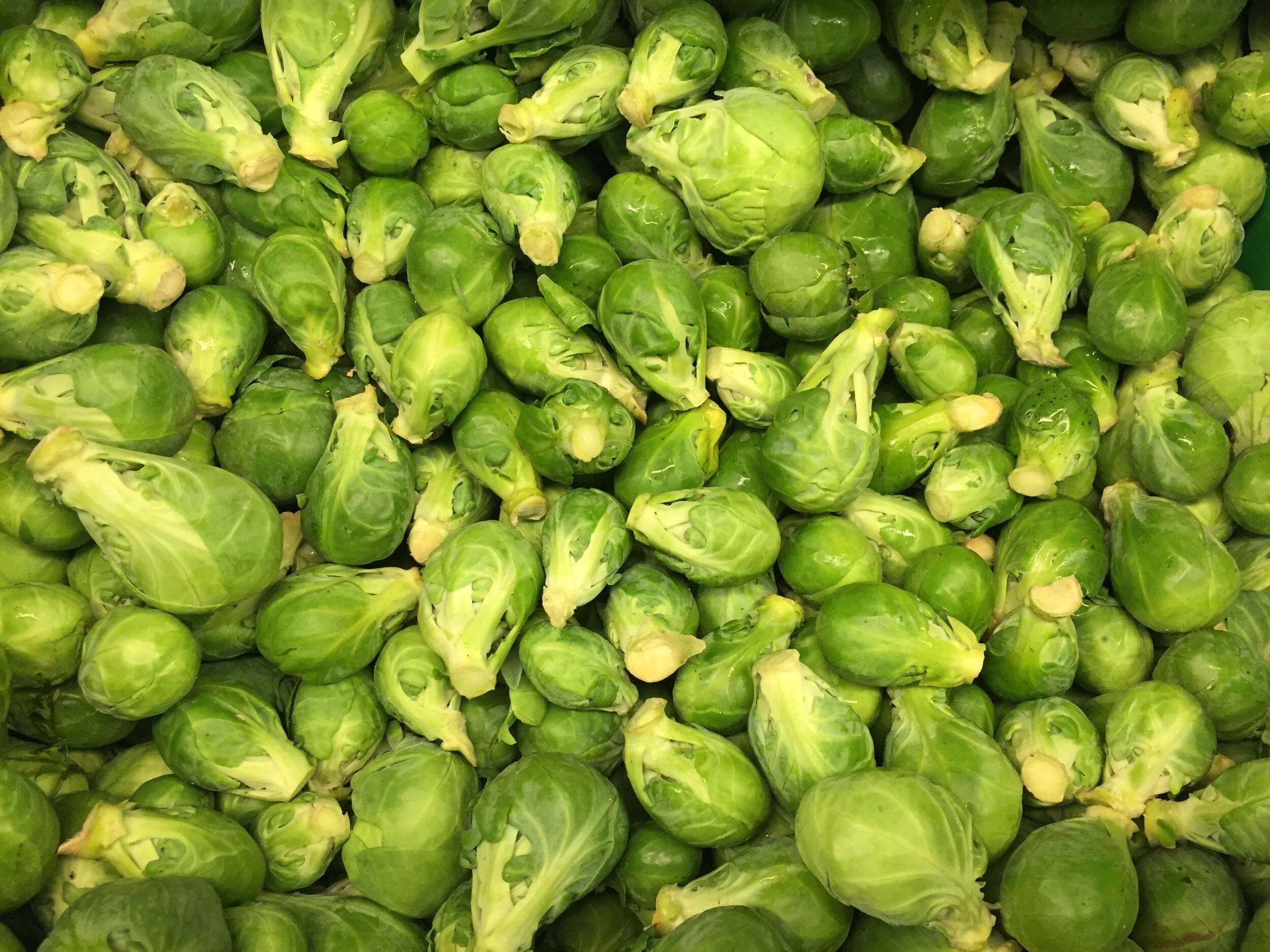 What is Body Trust®? 