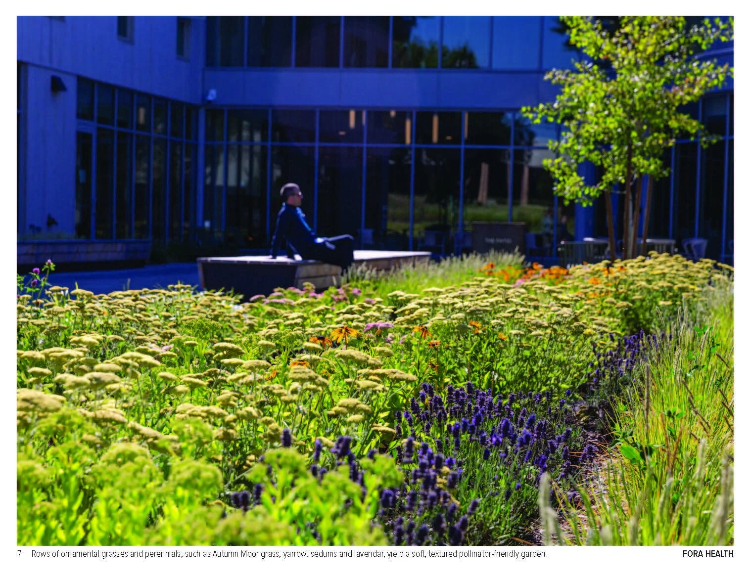 Fora Health Ground Workshop7.jpeg