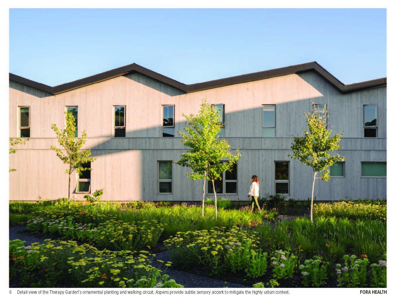 Fora Health Ground Workshop6.jpeg