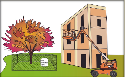Planning for Existing Trees Through Construction