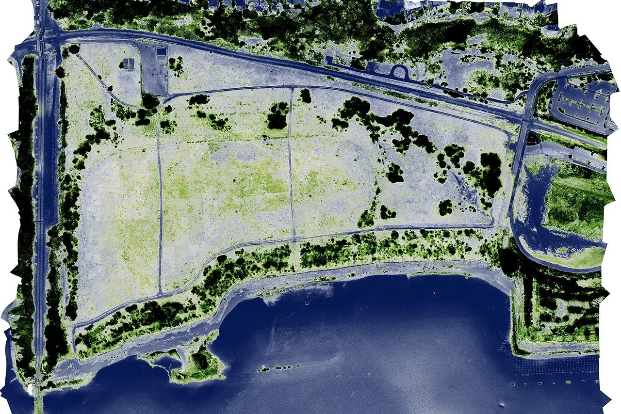 Portland Harbor Restoration Ecology: Lessons from the 2005 Remediation of the McCormick & Baxter Creosoting Company Superfund Site. (1 PDW)
