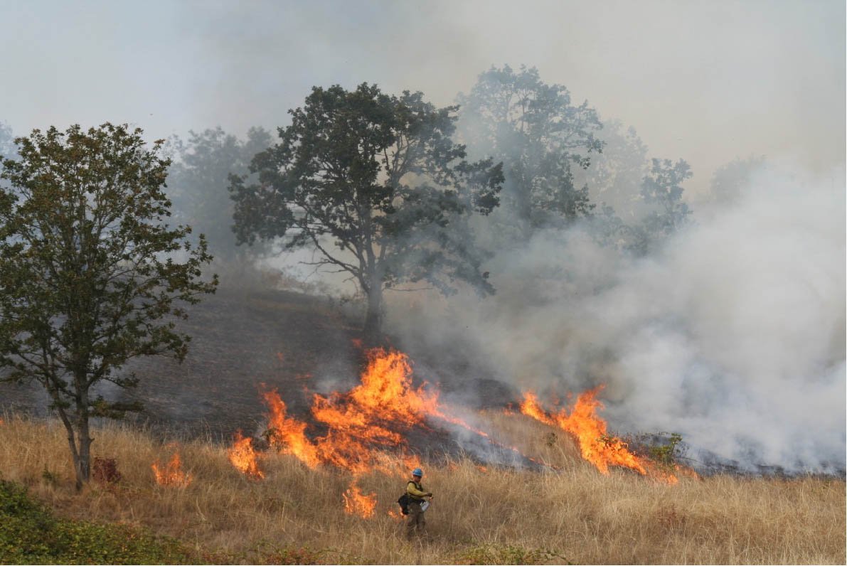 Planning for Wildfire in the Willamette Valley: Building Community Through Actions at Three Scales