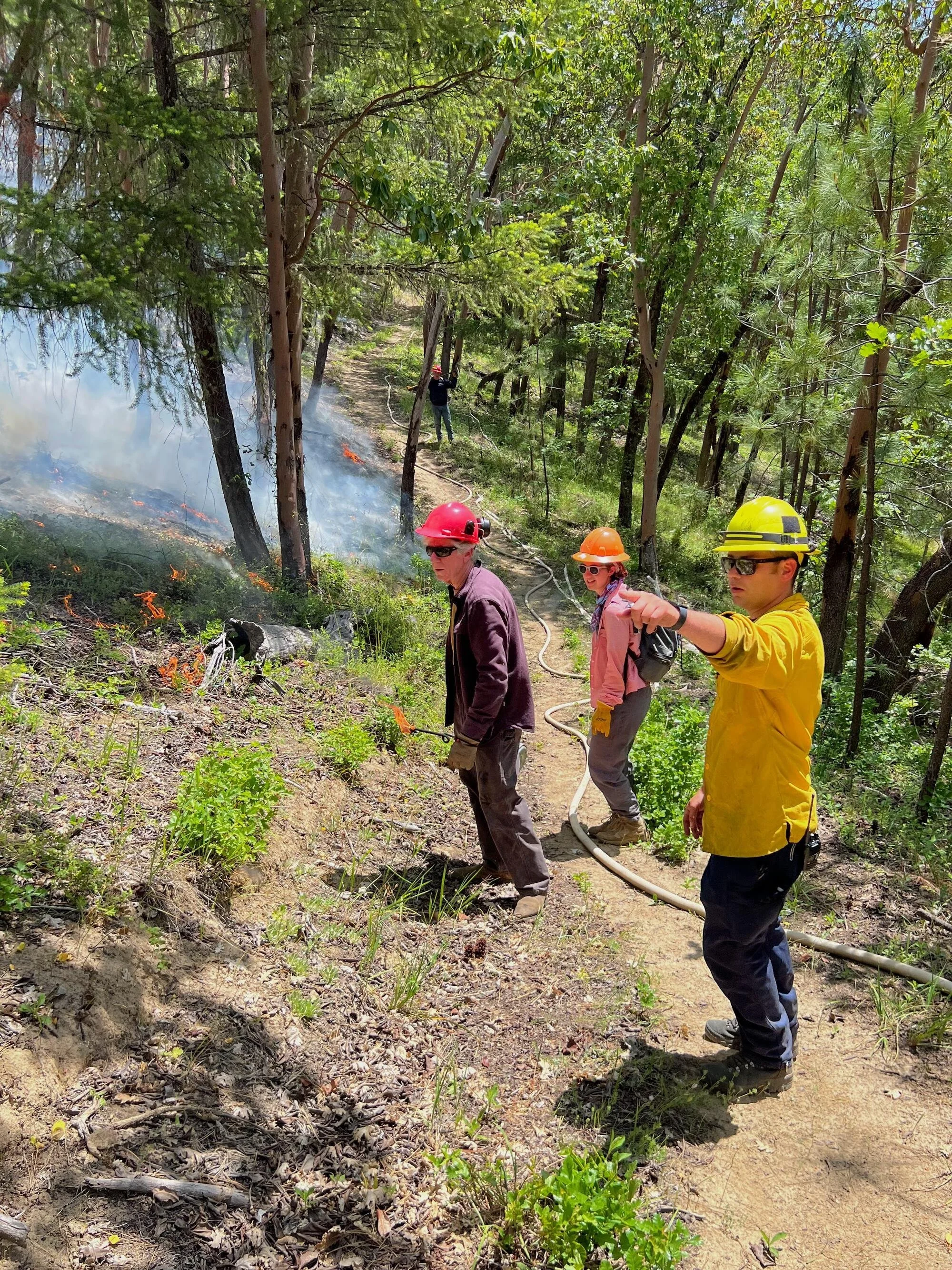 Landowner Options for Prescribed Burning on Private Property