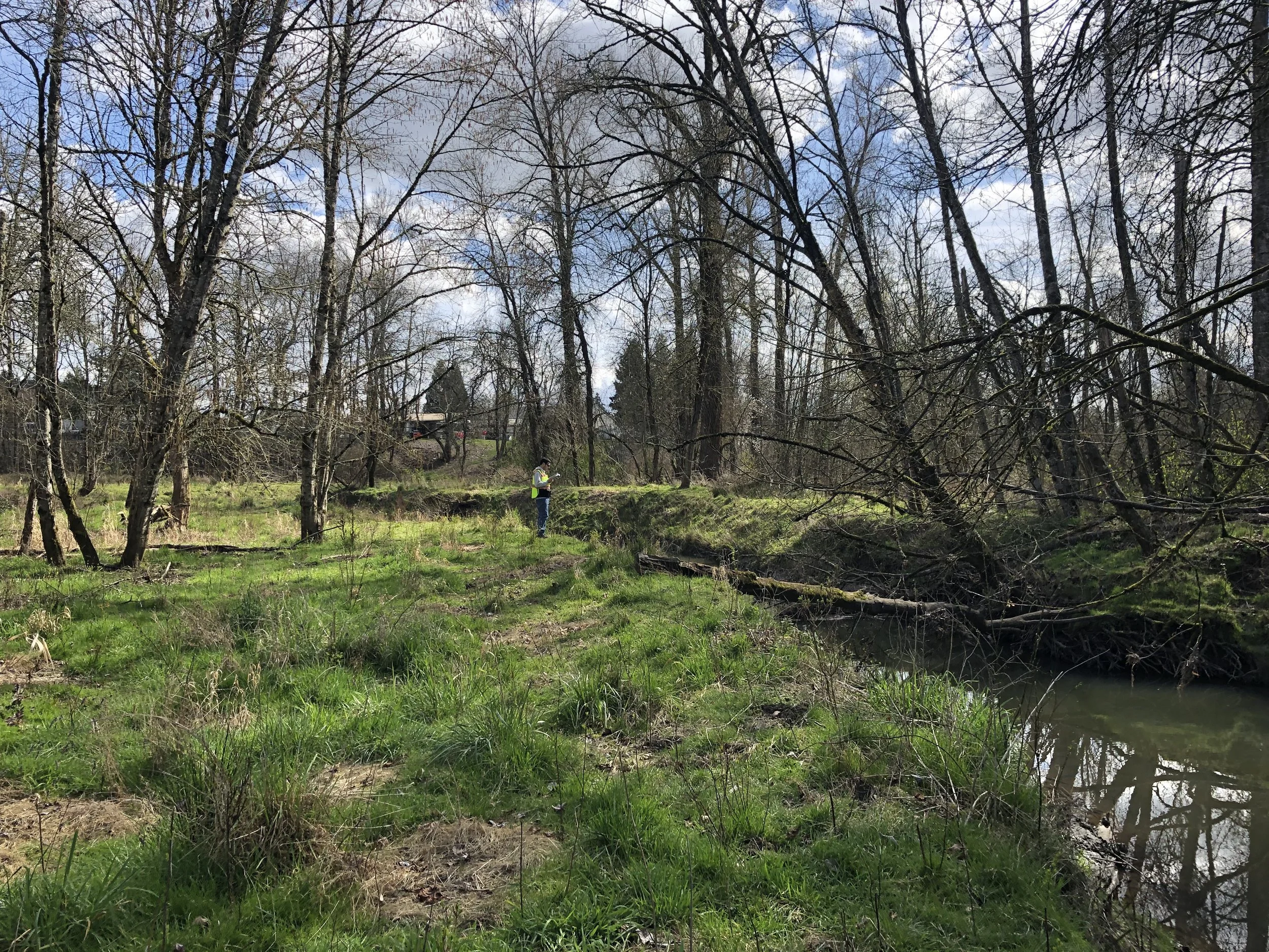 Fanno Creek Trail_Image_7 - GreenWorks PC.JPG