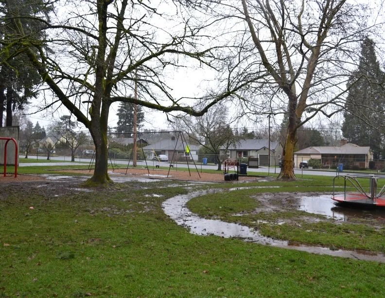 Crown Park_Image_9 - GreenWorks PC.JPG