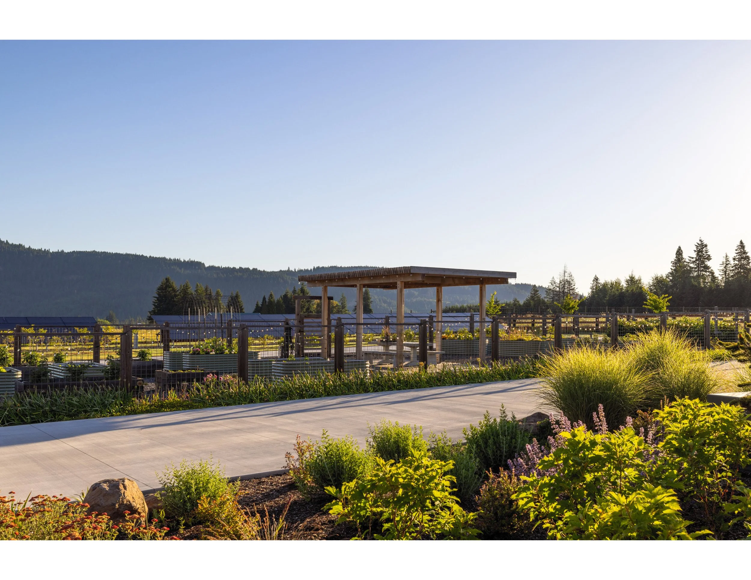Red Tail Farms_Image_7 - Kyle Trulen.jpg