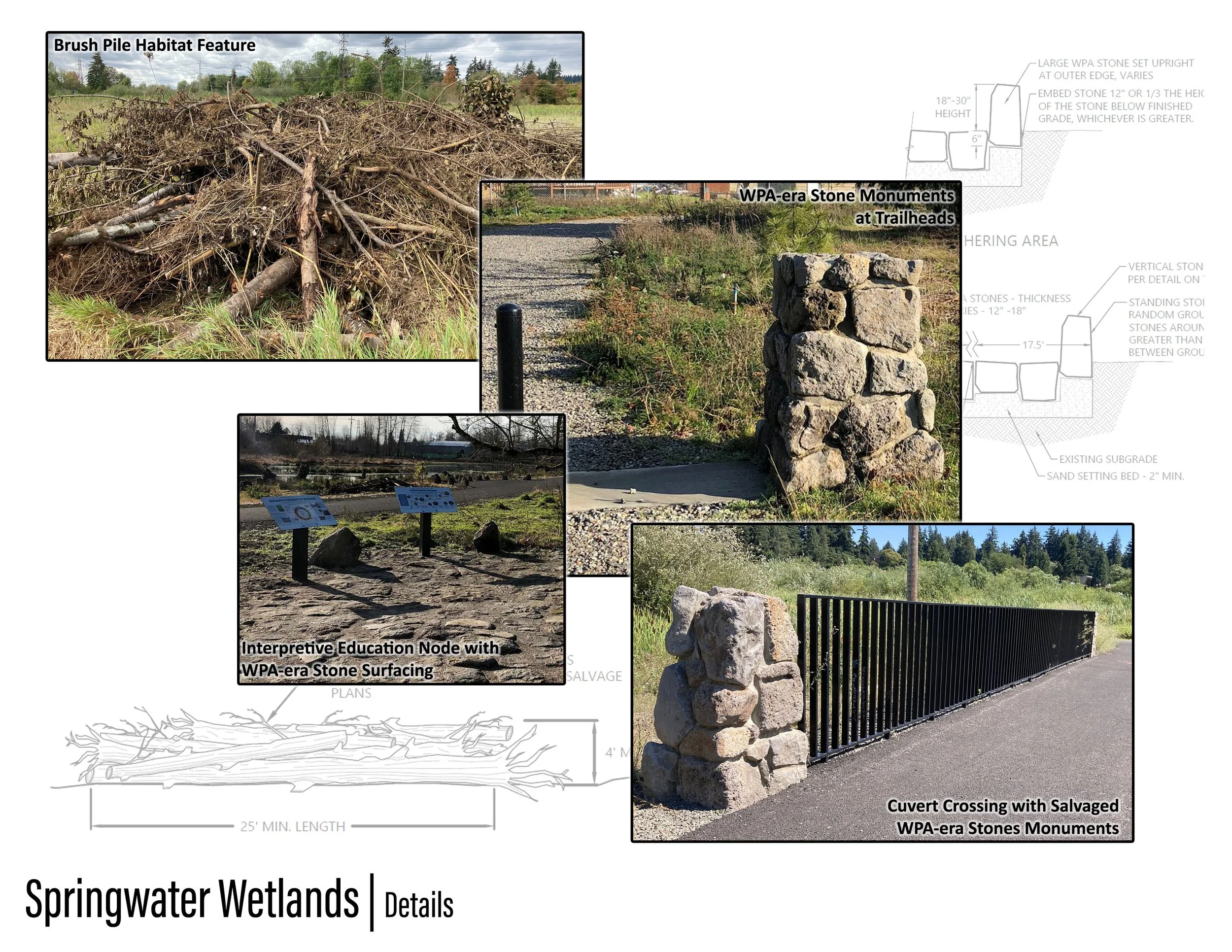 Springwater Wetlands_Image_9 - Jeremy Person.jpg