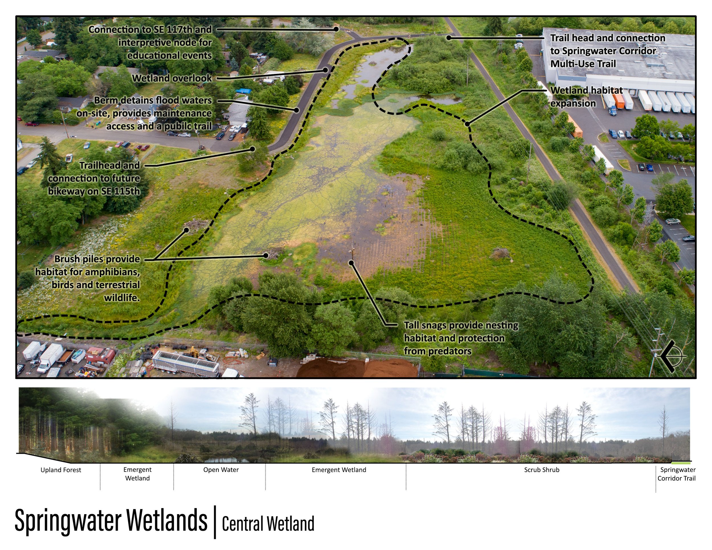Springwater Wetlands_Image_4 - Jeremy Person.jpg
